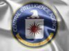 CIA Undergraduate Scholarship Application 2026/2027 CIA Undergraduate Scholarship